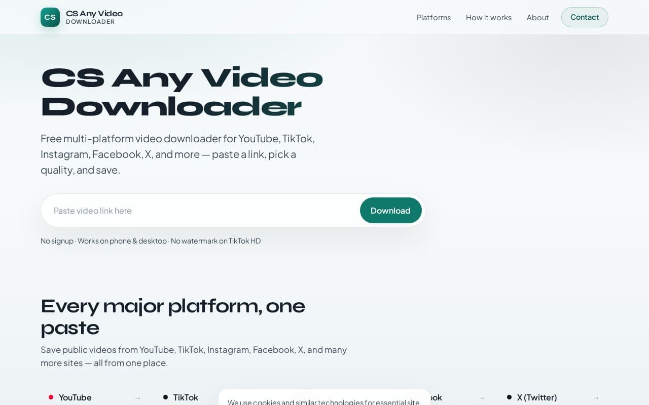 CS Any Video Downloader screenshot